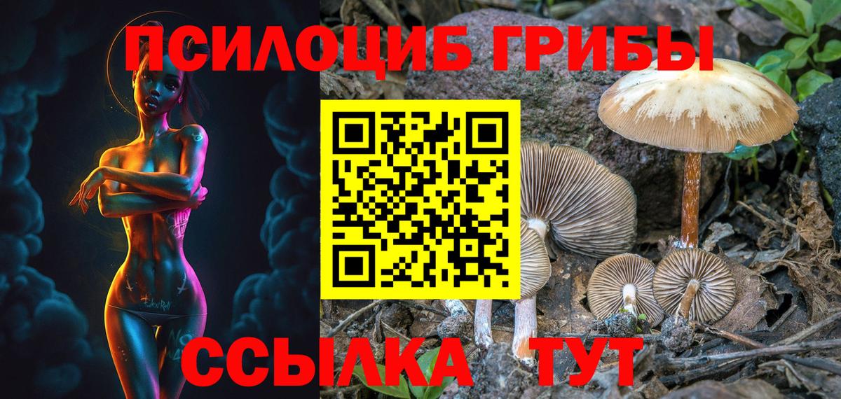 Псилоцибиновые грибы Magic Shrooms  Псилоцибиновые грибы Psilocybe  Сердобск  Вход с VPN 
