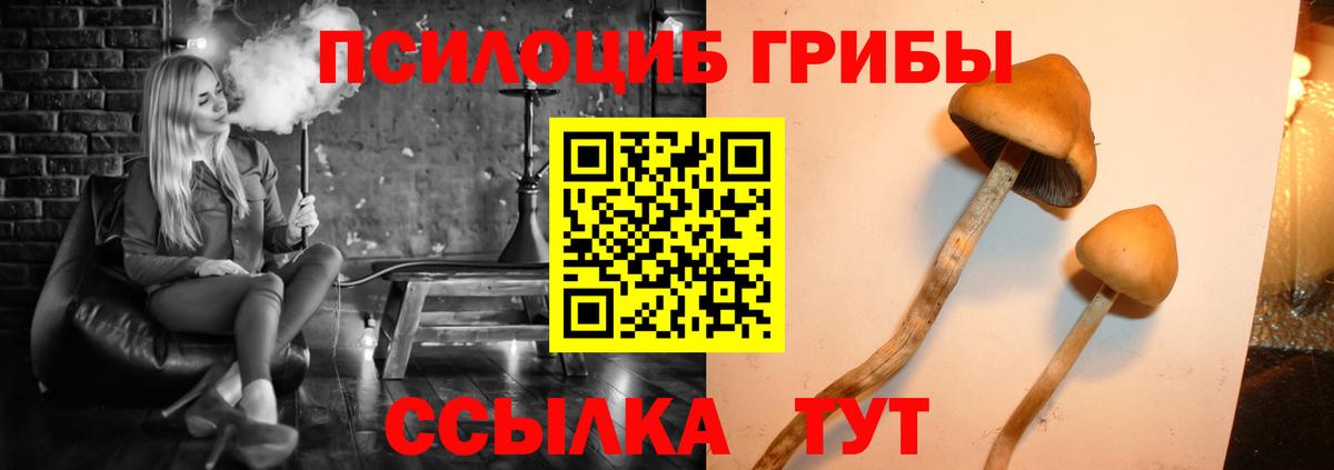 Гашиш  Меф кристаллы  Вход с VPN  Кодеин  Сердобск  Как найти наркотики?  Марихуана  Cocaine 